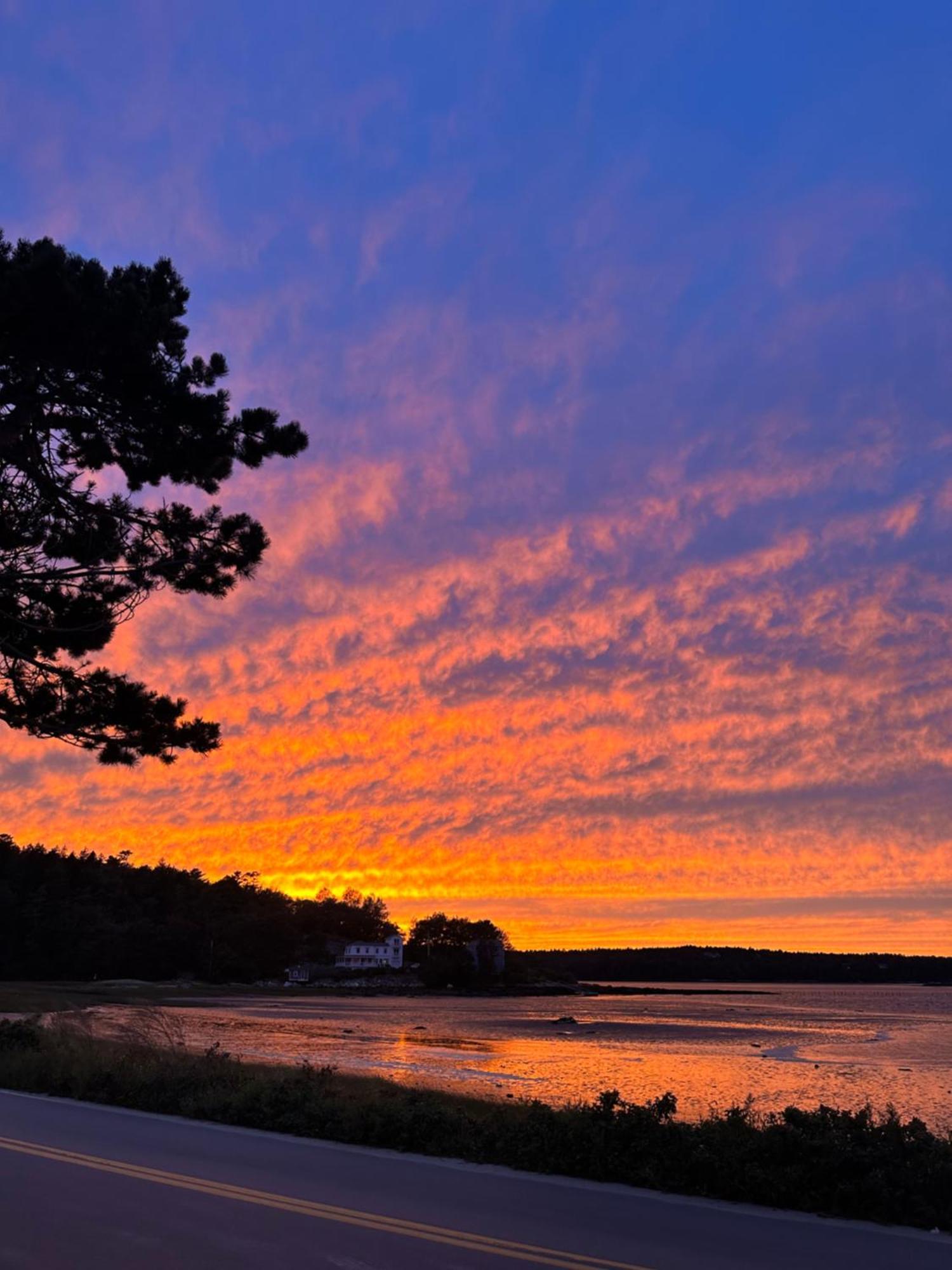 Spinneys Guesthouse & Beach Cottages Phippsburg Eksteriør billede